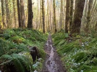 Hike with Mike POV at King's Mountain Trail