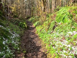 Hike with Mike POV at King's Mountain Trail