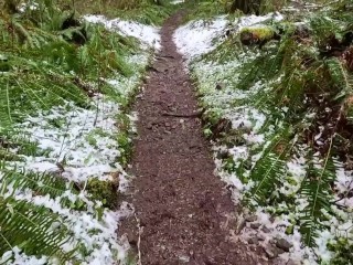 Hike with Mike POV at King's Mountain Trail
