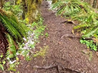 Hike with Mike POV at King's Mountain Trail