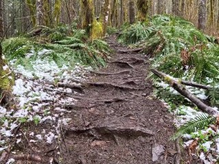 Hike with Mike POV at King's Mountain Trail