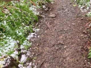 Hike with Mike POV at King's Mountain Trail