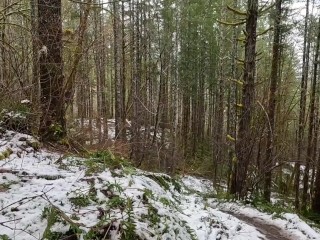 Hike with Mike POV at King's Mountain Trail