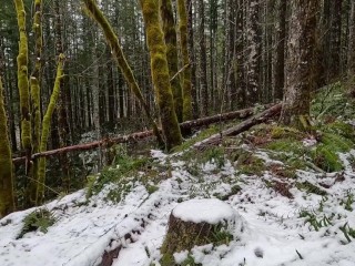 Hike with Mike POV at King's Mountain Trail