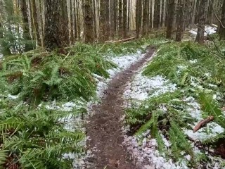 Hike with Mike POV at King's Mountain Trail