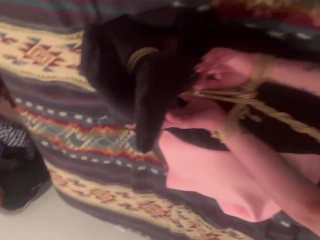 Hogtied gagged painslut