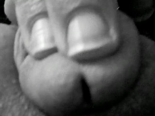 Serpent and the Pendulum