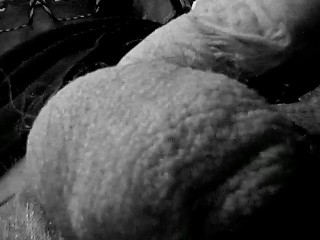 Serpent and the Pendulum