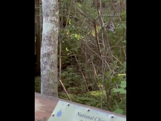 A woman saw me sucking dick so she turned around