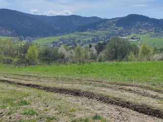 Anna Perv pee on fied.....