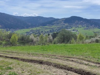 Anna Perv pee on fied.....