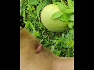 Girl pissing on the coconut in the jungle grass