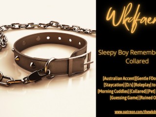 Waking Up and Remembering You're Collared