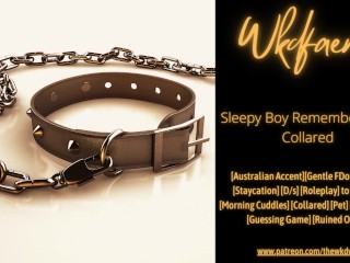 Waking Up and Remembering You're Collared