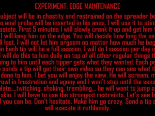 experiment: edge maintance