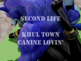 Second Life 4K - Khul Town - Canine Lovin