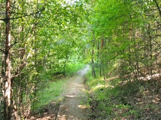 Extended Materials with Black Lynn - Blowjob, Facefuck & Throat Cum (that video from the phone)