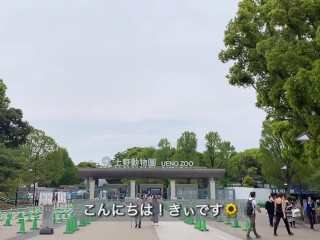 【ノーブラ散歩】上野動物園にいったら…【ちくぽっち】