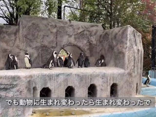【ノーブラ散歩】上野動物園にいったら…【ちくぽっち】