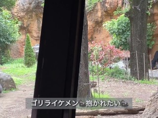 【ノーブラ散歩】上野動物園にいったら…【ちくぽっち】