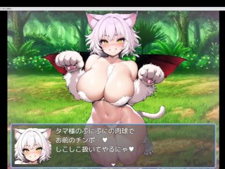 H Game 同人 エロゲ #6【エロマゾRPG~サキュバス達のえっちな色仕掛けに堕ちる勇者~(製品版)】【実況プレイ】