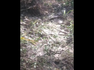 Cute long hair girl on her knees looking for shells to collect in popular spring creek part 2
