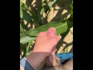 got horny in a corn field