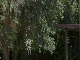 HotwifeXXX - I Knew His Slut Wife Was Trouble! (Nicole Kitt)