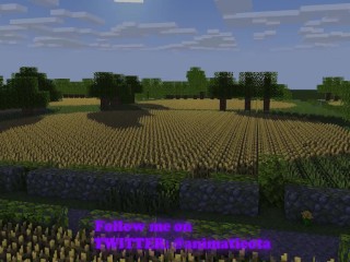 Outdoor Sex Minecraft Sex Mod