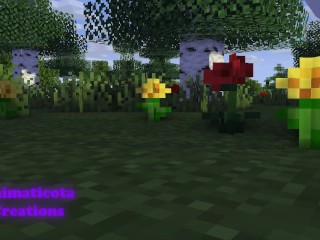 Outdoor Sex Minecraft Sex Mod