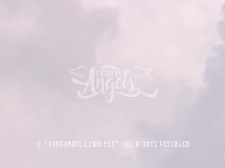 Let Me Teach You / TransAngels