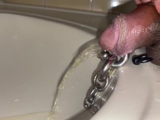 Pre cum dripping from pierced cock after piss