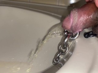 Pre cum dripping from pierced cock after piss