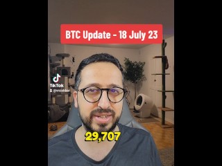 Bitcoin price update 18 July 23 with stepsister
