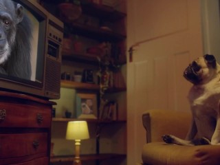 Silvia Soprano got glazed in Miami