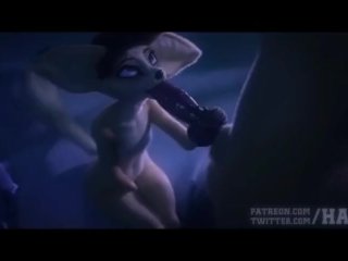 Furry Porn Animations