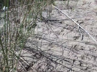 Spied, Touched, Finished On her Face. Shocked Girl on the Beach!