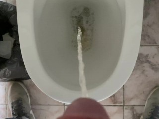 Man pissing in the office toilet, cock view in 4K