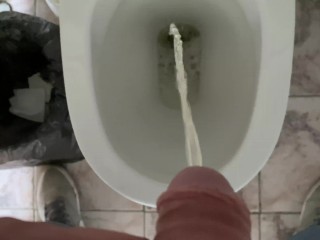 Man pissing in the office toilet, cock view in 4K