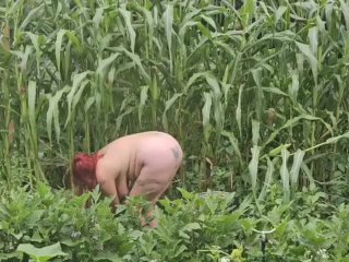 GILFJai picking peppers in the garden