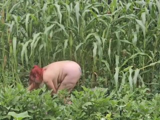 GILFJai picking peppers in the garden