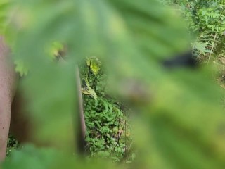 Pissing in the forest naked