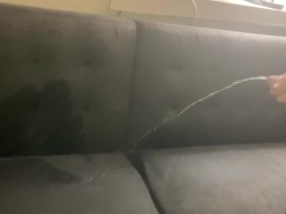 Pissed on the couch