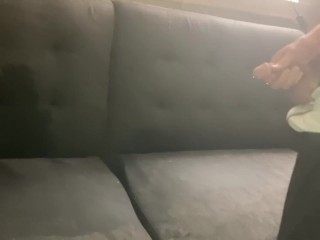 Pissed on the couch