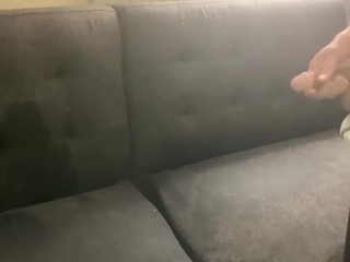 Pissed on the couch