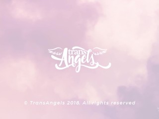 A Hardcore Workout / TransAngels