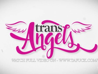 Cocked Behind Bars / TransAngels