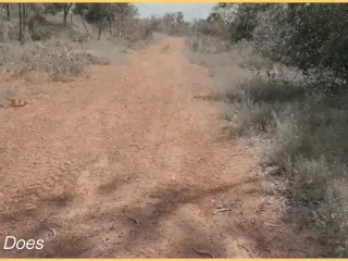 Wifey changes her shirts and her perfect tits in public