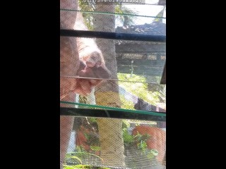 Public dick flashing Africa