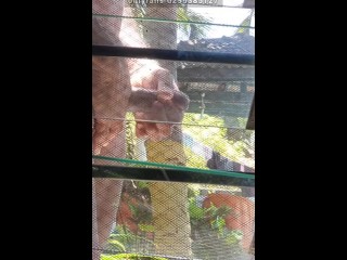 Public dick flashing Africa